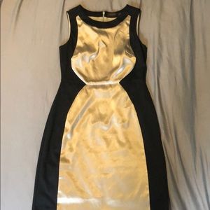 The Limited. Sleeveless dress.